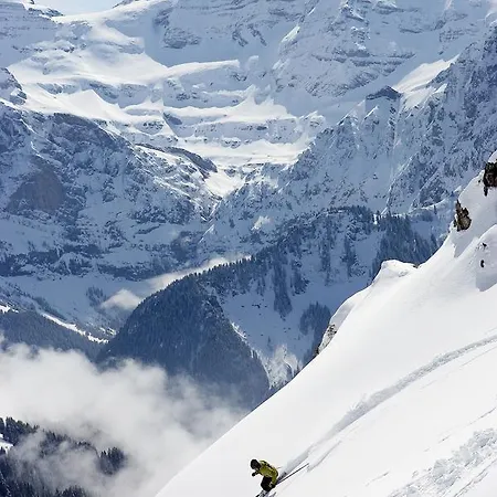 Cochon Volant Chalet *